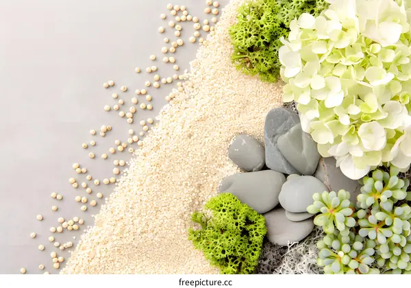 Minimalist Nature Scene with White Flowers, Stones and Sand