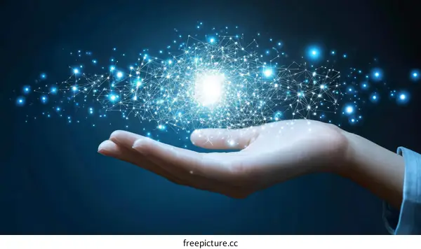 Hand Holding a Digital Network Sphere