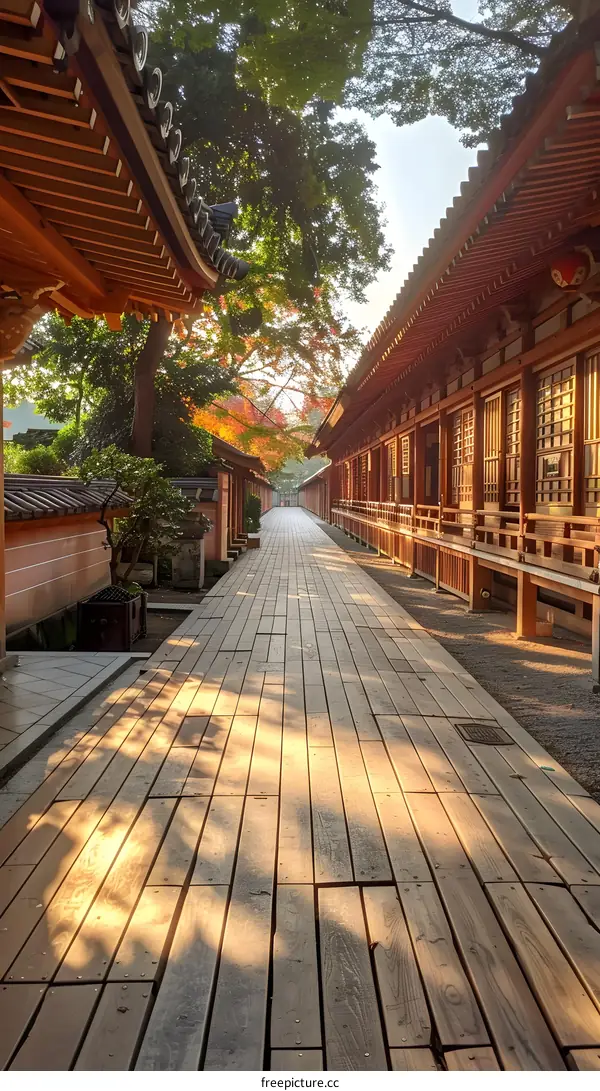 Wooden walkway lined with traditional houses and trees