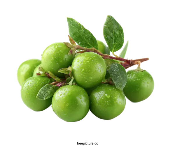 [Transparent Background PNG]Fresh Green Berries with Water Drops