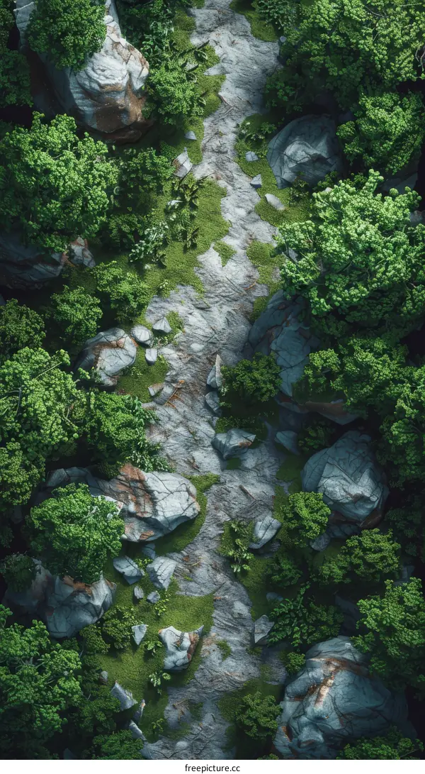 The stone path through the middle of the forest