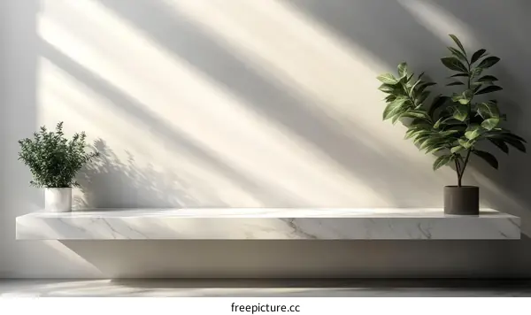 Modern Minimalist Marble Shelf with Plants