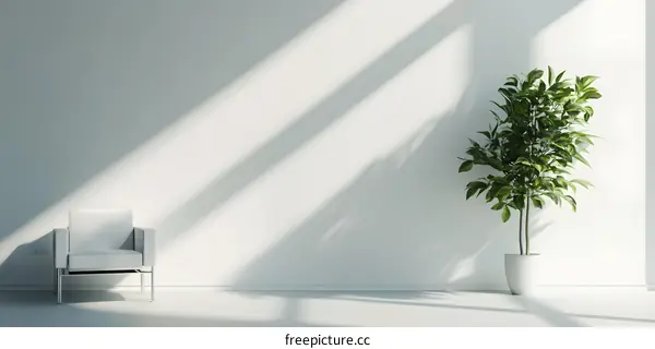 Minimalist White Room with Chair and Plant