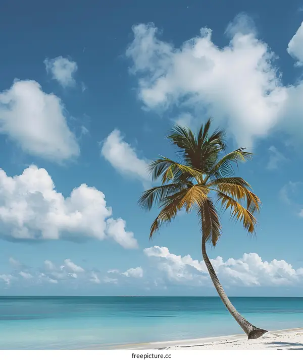 Palm Tree On Tropical Beach With Blue Sky And White Clouds