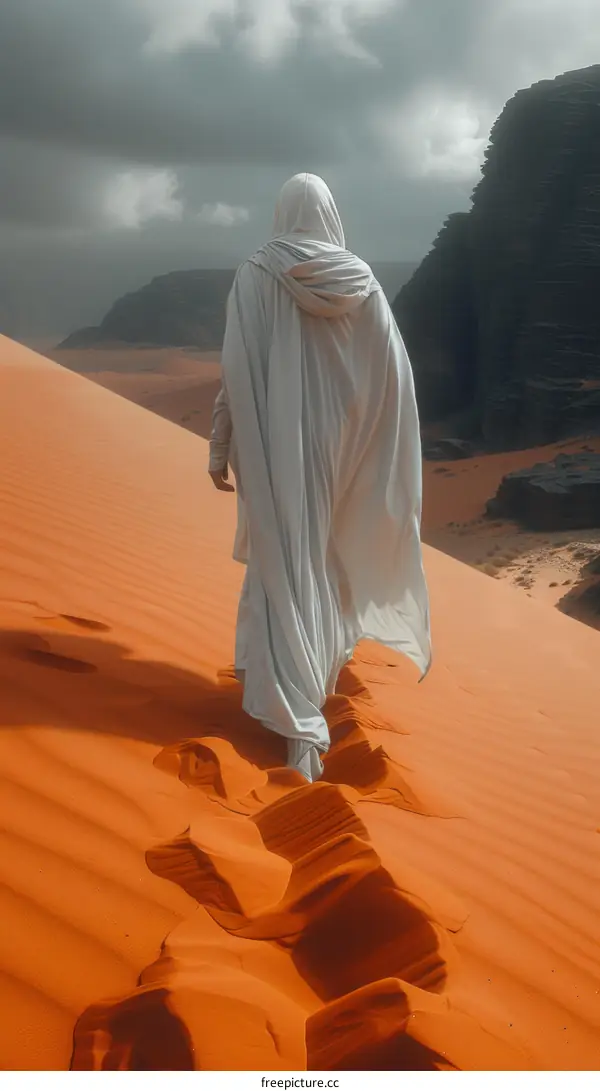 A lone figure in a white cloak walks through a barren desert toward distant rock formations