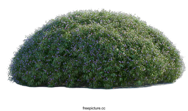 [Transparent Background PNG]3D Rendering of a Purple Flower Bush on a White Background
