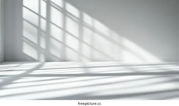 Empty White Room with Sun Shadows