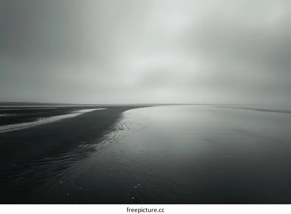black sand beach with fog