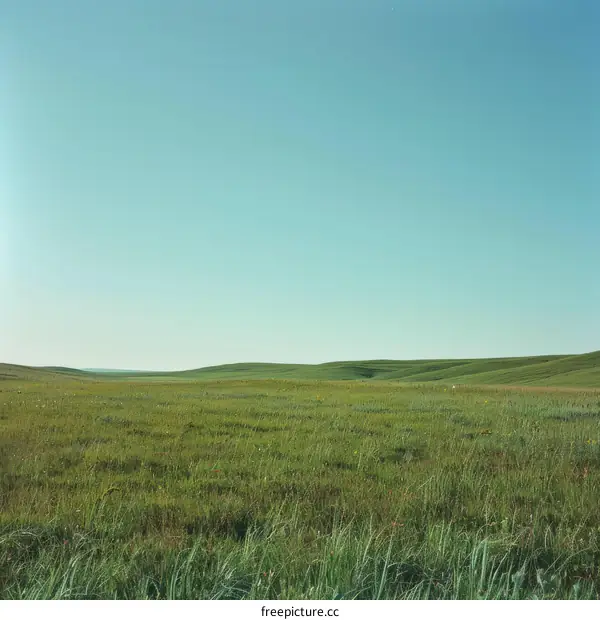 Green Rolling Hills Under Blue Sky