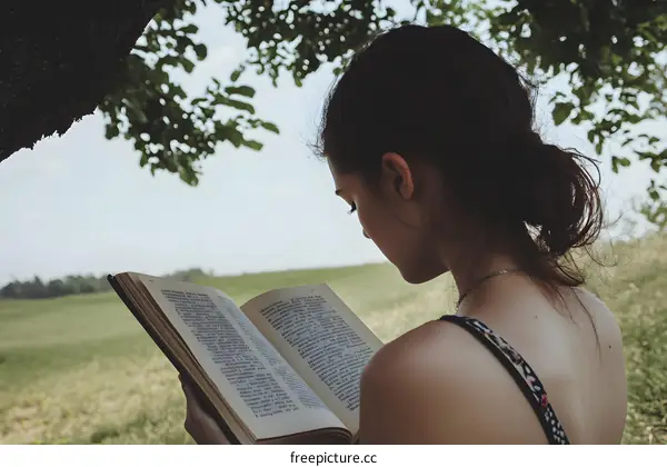 Woman Reading Book Under Tree