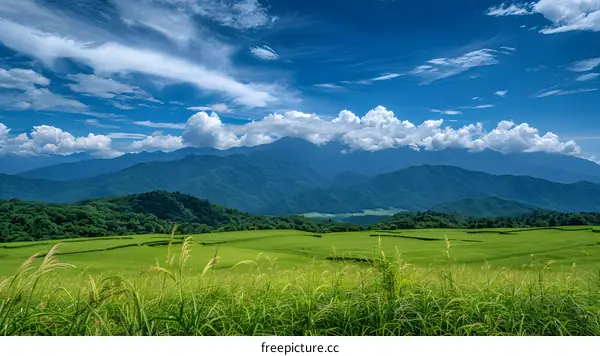 Green Grass Field with Blue Sky and Mountain Range in Background