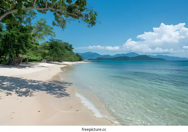 Beach with white sand and clear water