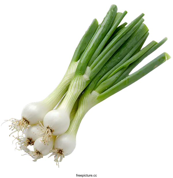 [Transparent Background PNG]Fresh Green Onions on White Background