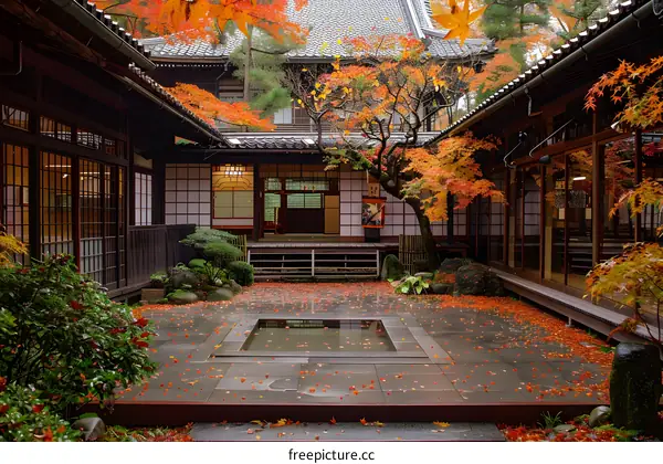 Autumn leaves in Japanese garden