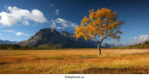 Lonely Tree in Autumn Field