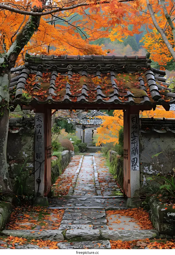 A stone path leading to a temple gate in autumn