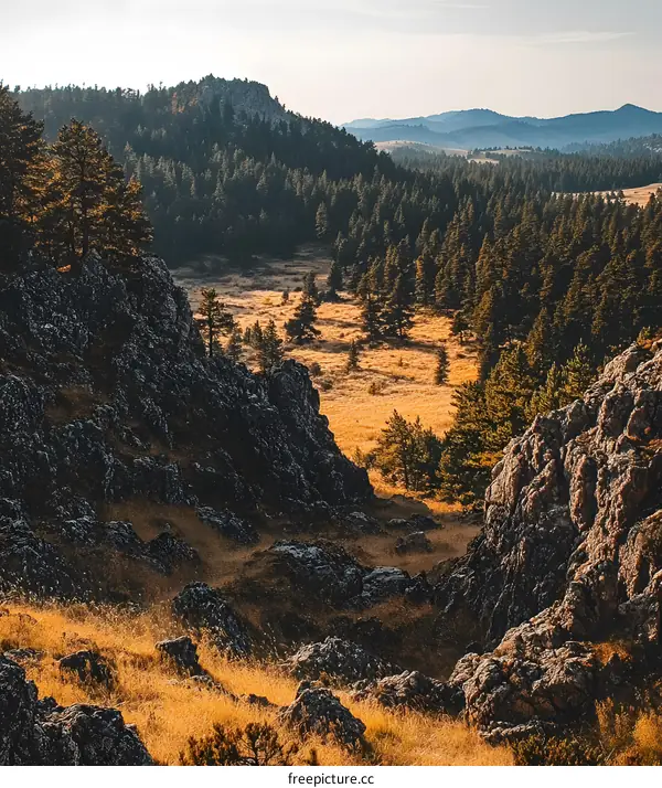 Rocky Mountain Valley Sunset Landscape