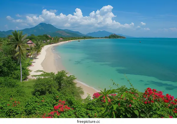 The beach is beautiful, with white sand and clear water. The sky is blue and there are some clouds. There are green plants and red flowers on the beach.