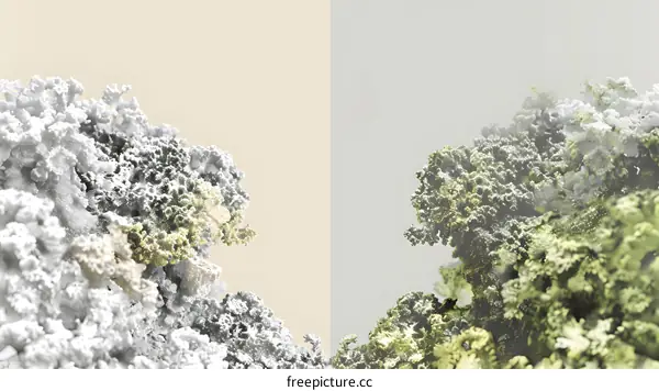 Abstract Art with Grey and Green Color