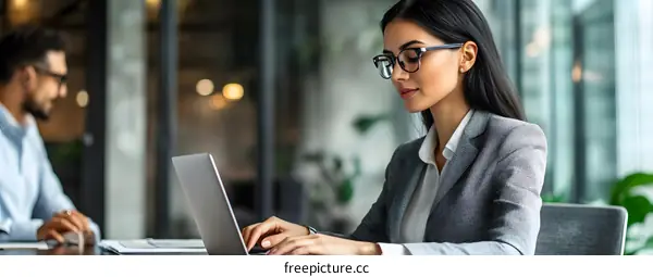 Business Woman Working On Laptop In Office