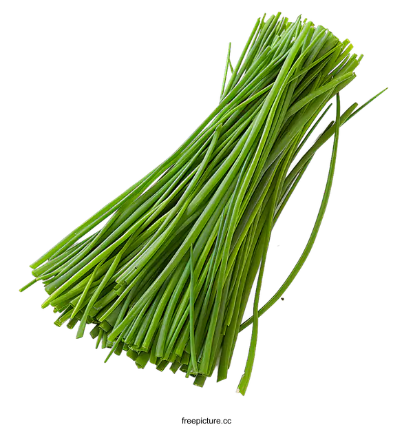 [Transparent Background PNG]Fresh Chives on White Background