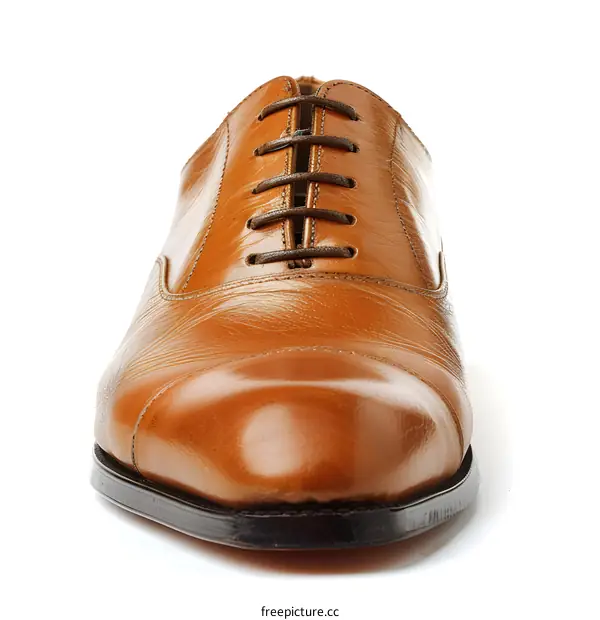 A close-up image of a pair of brown leather shoes.