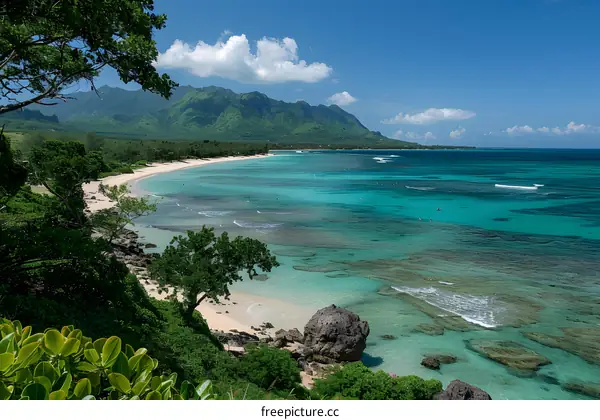 Aerial View of Tropical Beach with Clear Blue Water