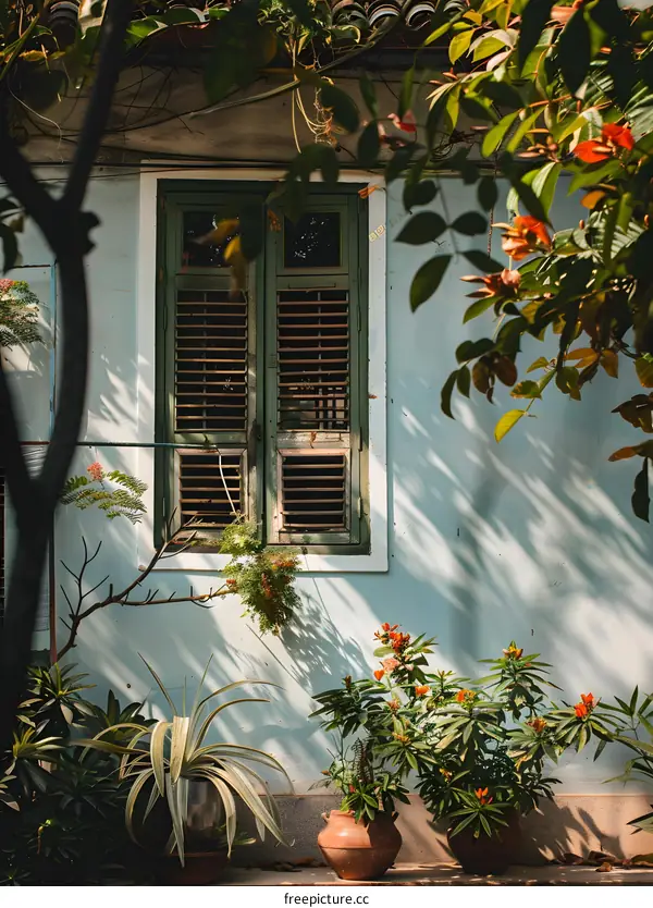Green Shutters on a Blue Wall With Plants in Pots