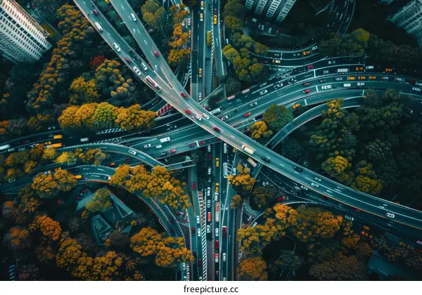 Aerial View of Urban Expressway Interchange with Autumn Foliage