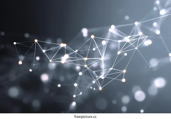 Abstract Network Connections and Interconnectivity