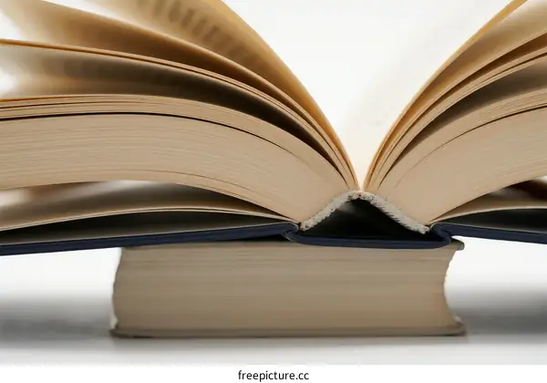 Open book displaying pages with knowledge and information