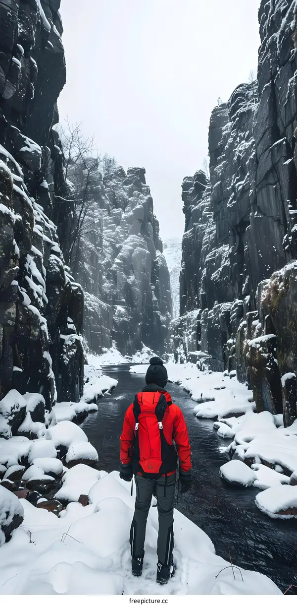 Winter Landscape With A Man Standing In Front Of A Snowy Canyon