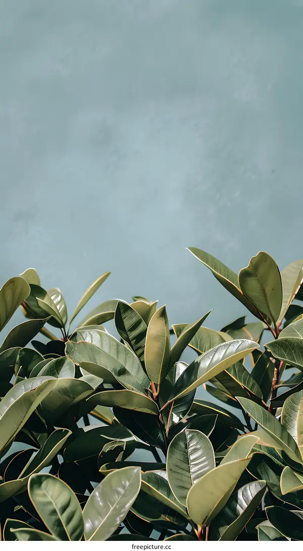 Green Leaves Against Blue Wall