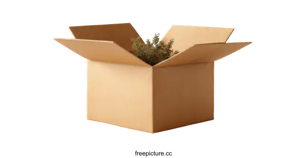 [Transparent Background PNG]Open Cardboard Box with Plant Inside