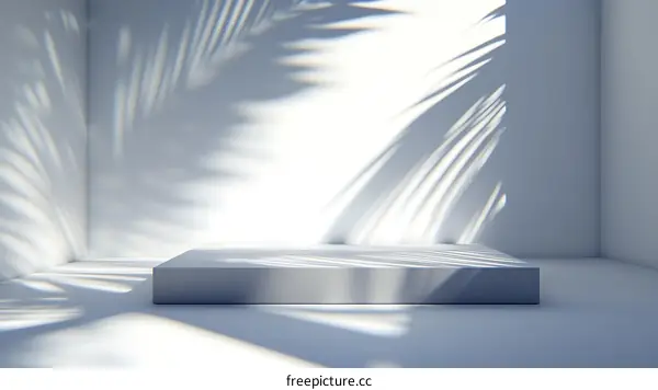 Minimalist Product Showcase with Palm Leaf Shadows
