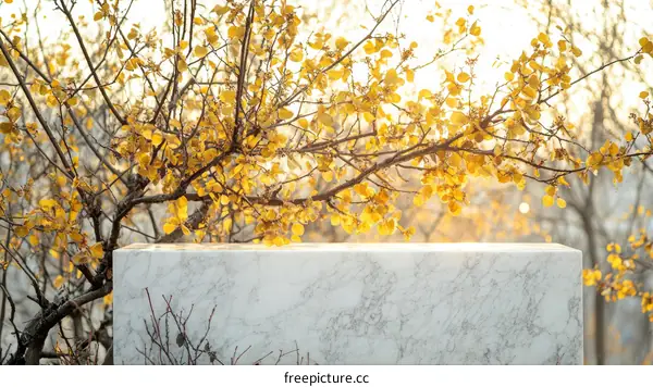 Autumn Leaves and Marble Display