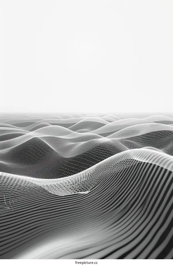 Black and white image of a wireframe landscape