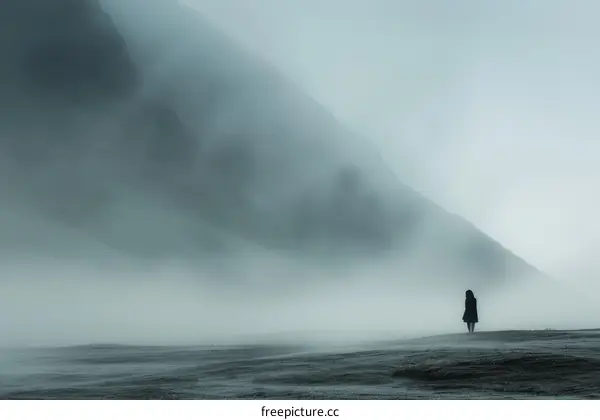 A woman standing alone in a foggy landscape