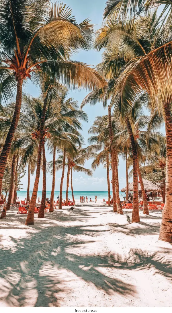 Tropical Beach Paradise with Palm Trees