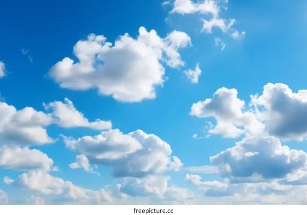 White Clouds on a Sunny Day