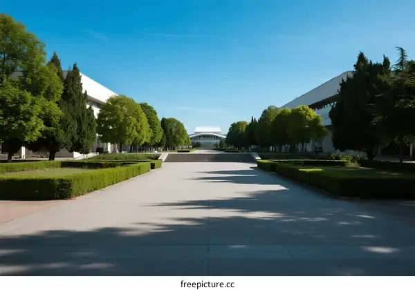 A wide path lined with neatly trimmed hedges and modern buildings under a clear blue sky