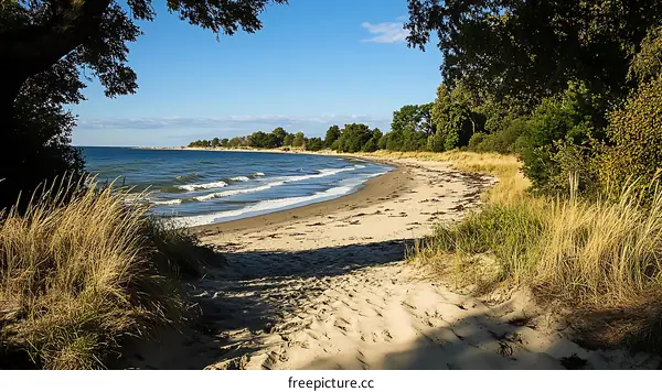 Coastal Beach Scenery on a Sunny Day