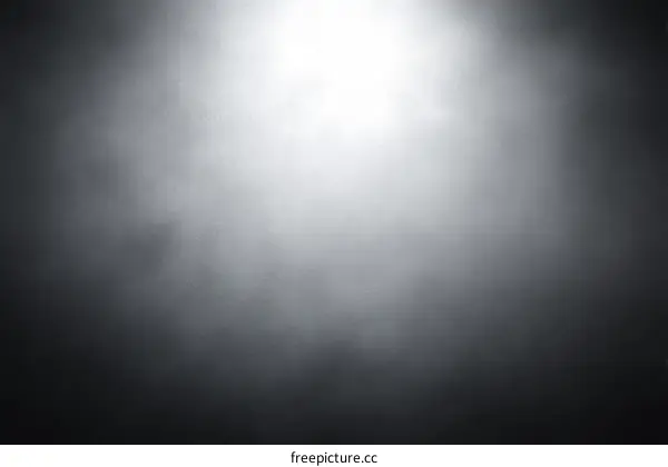 Grayscale Studio Background with Soft Lighting