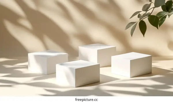 Minimalist Product Display with Soft Natural Light
