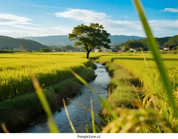 A peaceful rural scene with a single tree by a winding stream