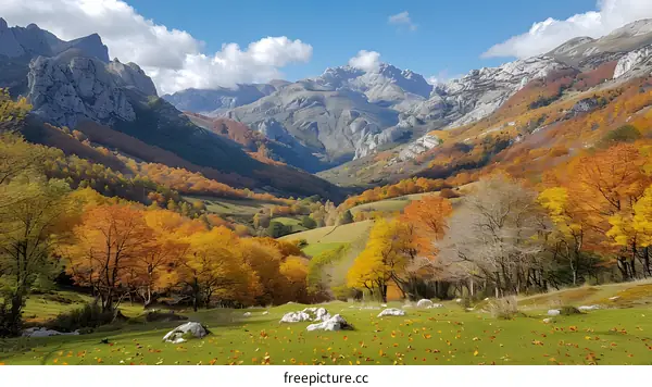 colorful mountains and valley in the fall