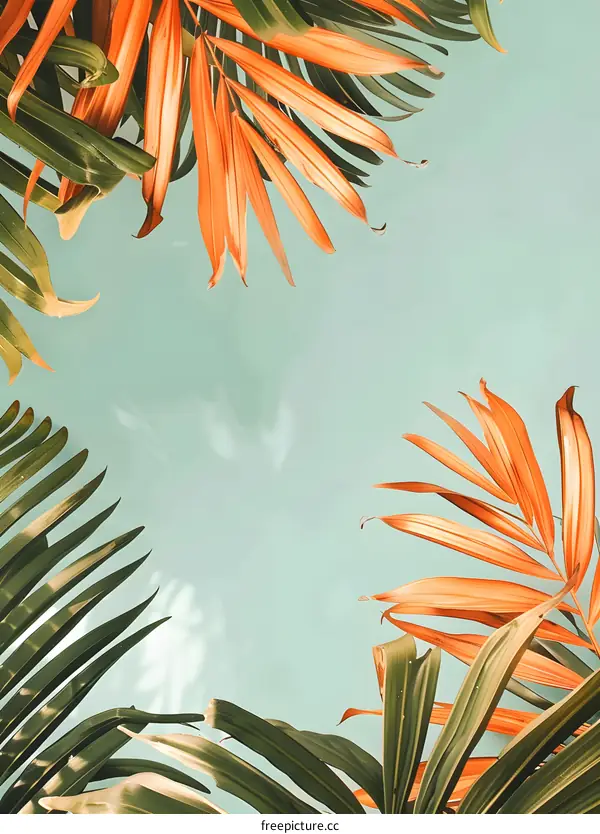 Tropical Palm Leaves on a Mint Green Background