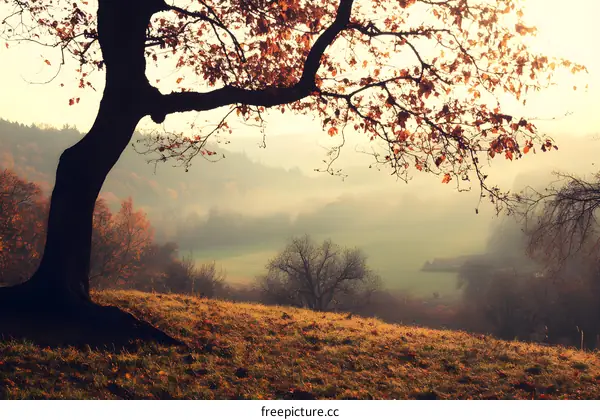 Autumn Landscape with a Tree in the Foreground