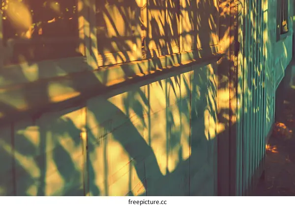 Light and Shadow on Wooden Wall