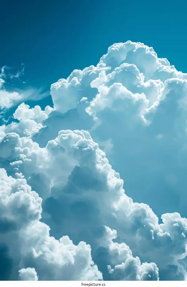 A large white cloud hovers over a blue sky